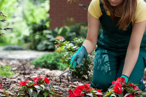 Audit team reviewing supplier documents at a landscaping depot