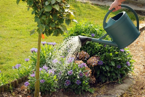 Inspector assessing landscaping and plant health in a garden